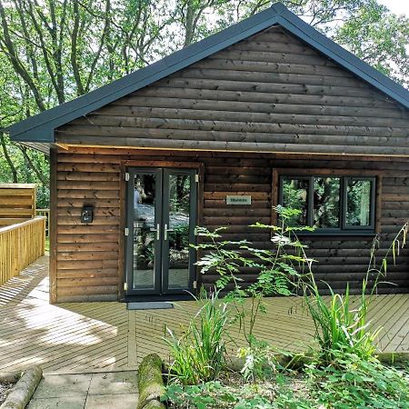 Bluestone-Hot Tub-Woodlandlodges-Pembrokeshire-Tenby Carmarthen Exterior photo